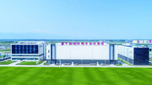 寧夏建材王玉林 以水泥產(chǎn)業(yè)鏈為支撐，推動(dòng)數(shù)字化轉(zhuǎn)型升級(jí)